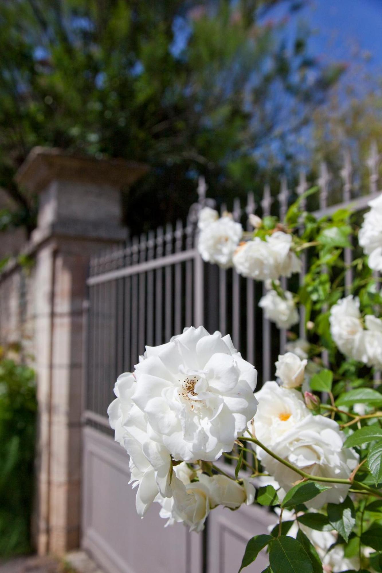 Villa Louise Aloxe-Corton Eksteriør billede